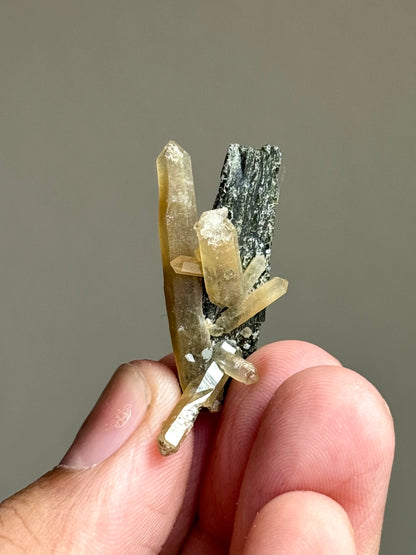 Hedenbergite & Quartz
