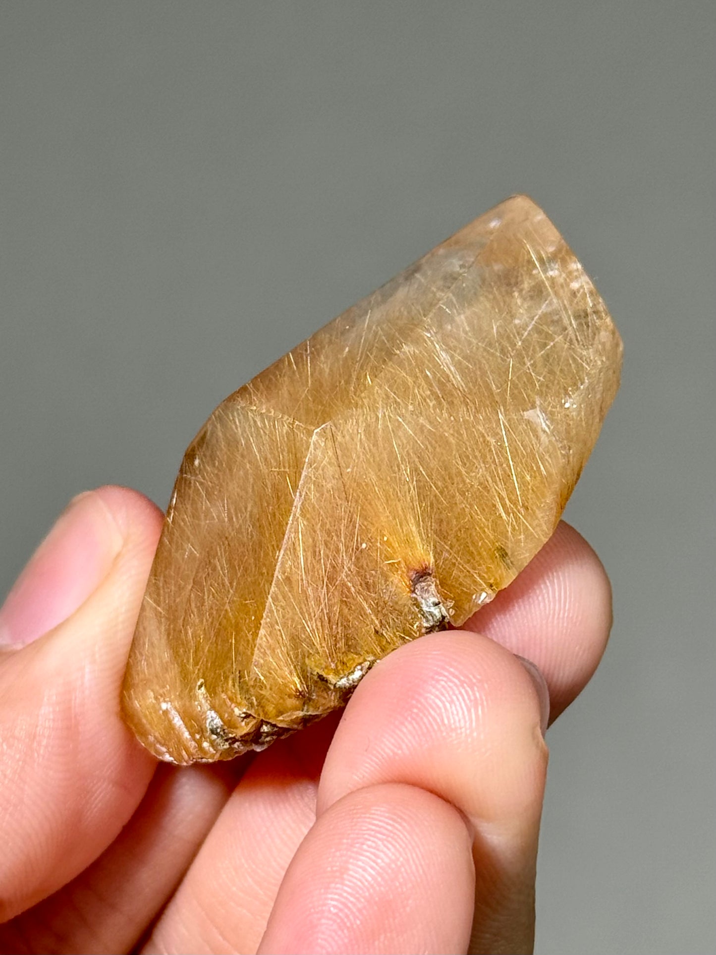 Semi-Polished Himalayan Quartz with Rutile