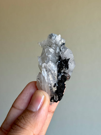 Quartz & Ferberite