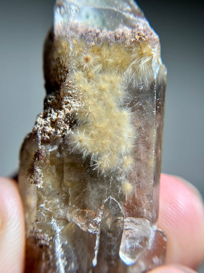 Dandelion Rutile in Quartz