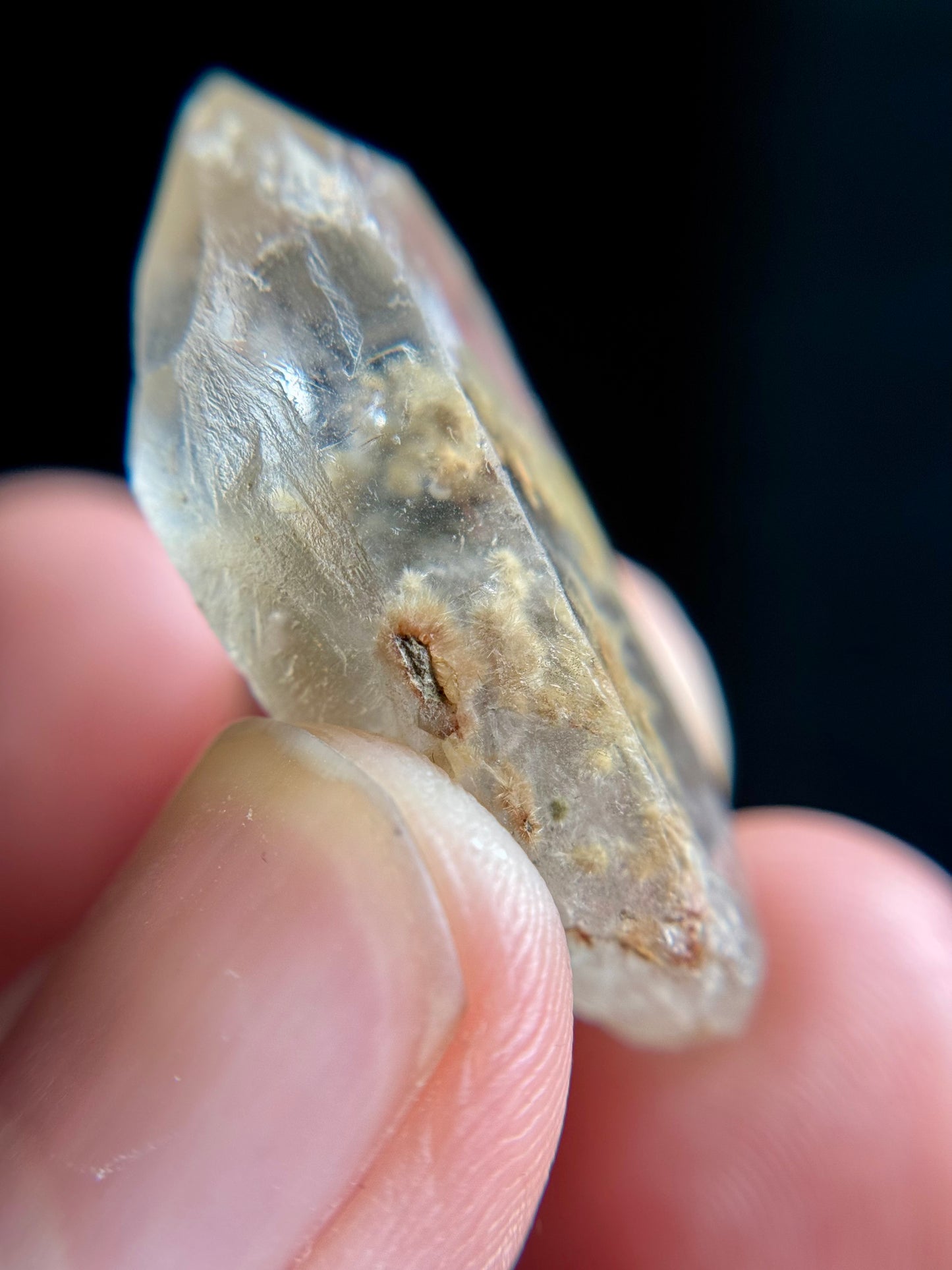 Dandelion Rutile in Quartz