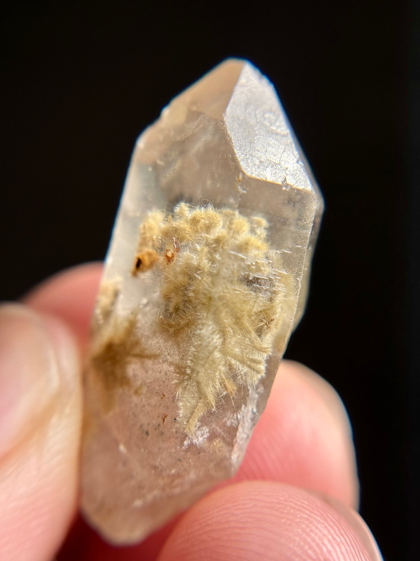 Dandelion Rutile in Quartz