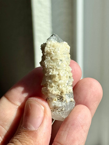 Quartz, Pyrite, Dolomite & Calcite