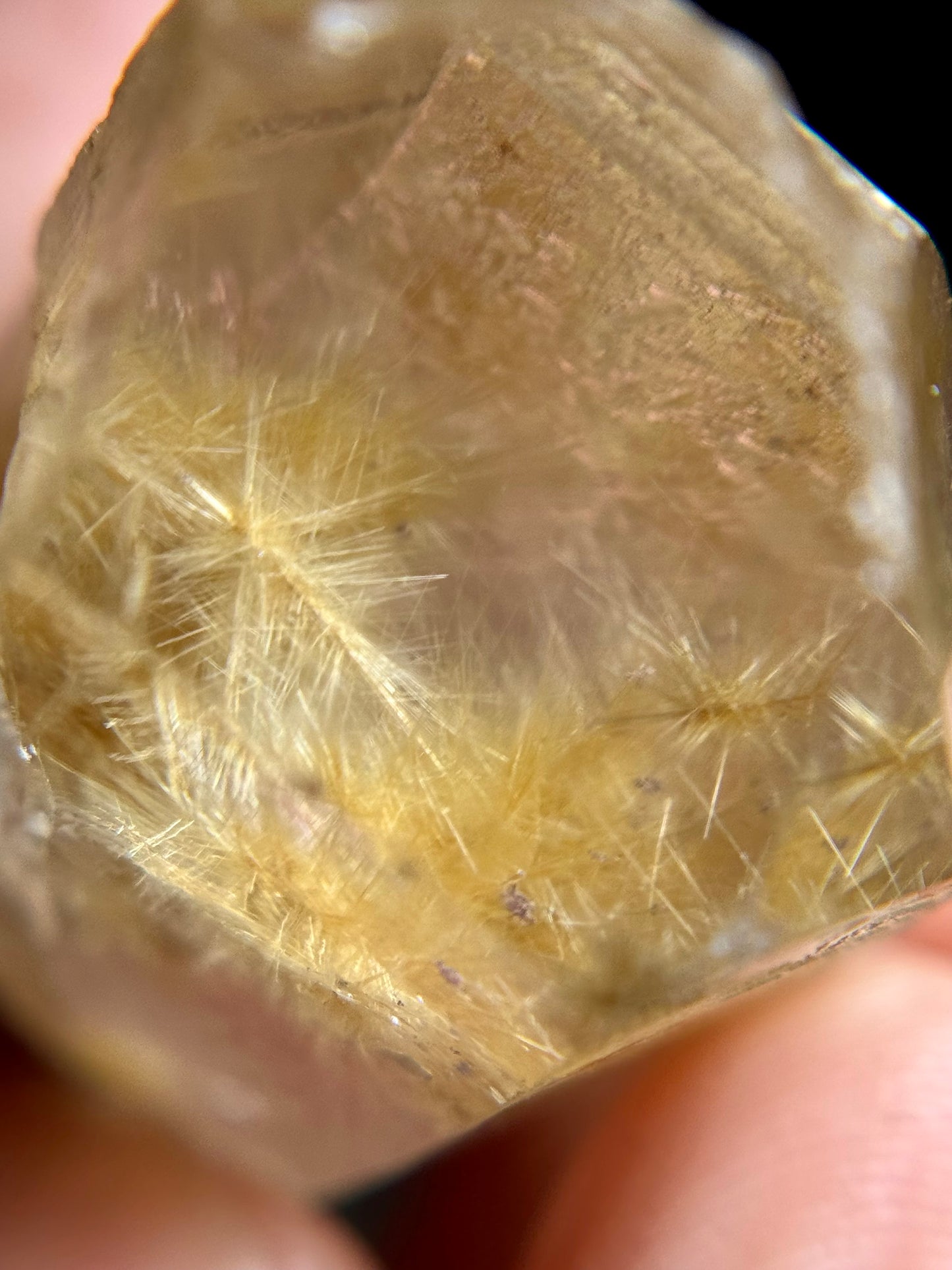 Dandelion Rutile in Quartz