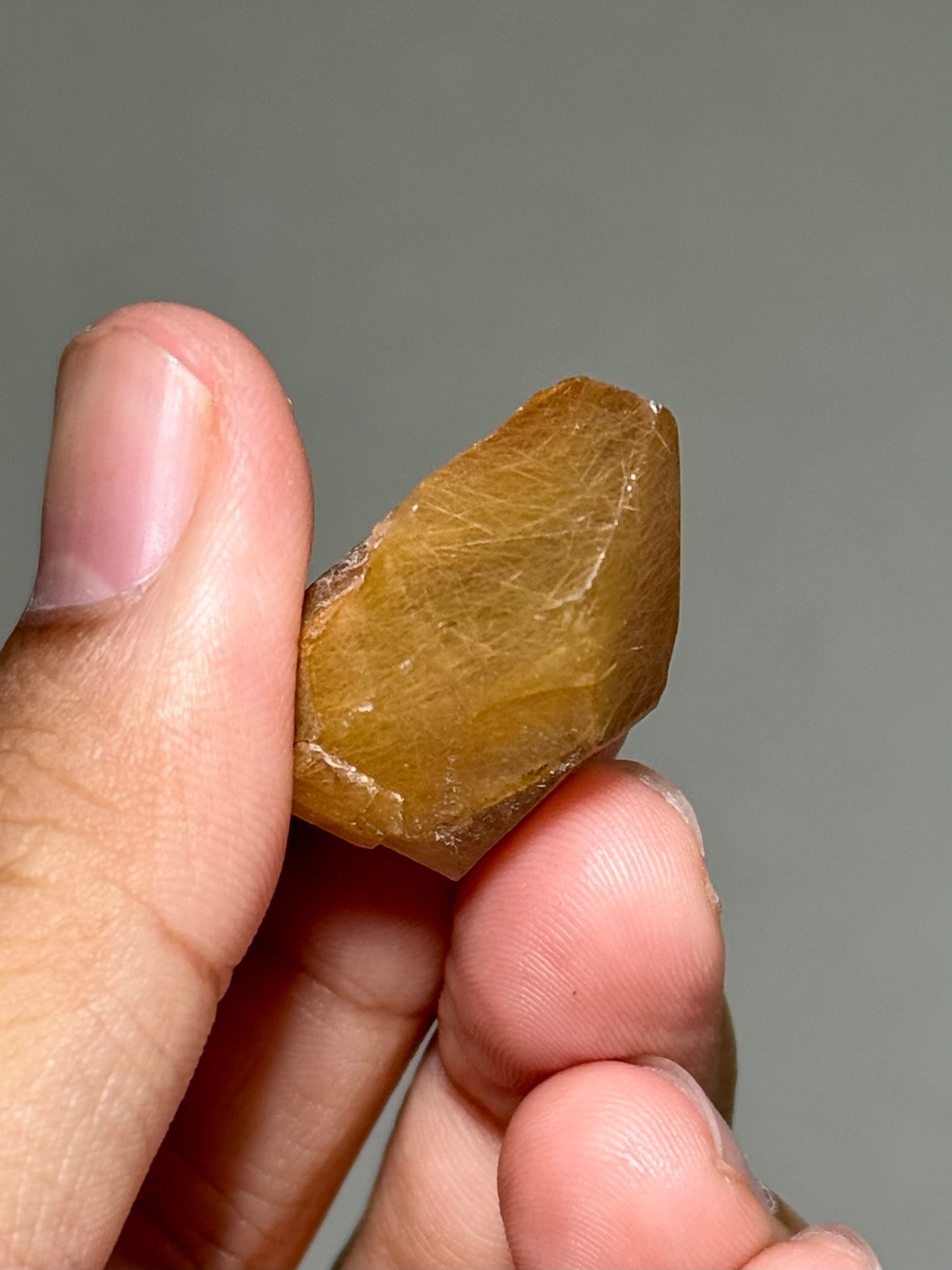 Semi-Polished Himalayan Quartz with Rutile