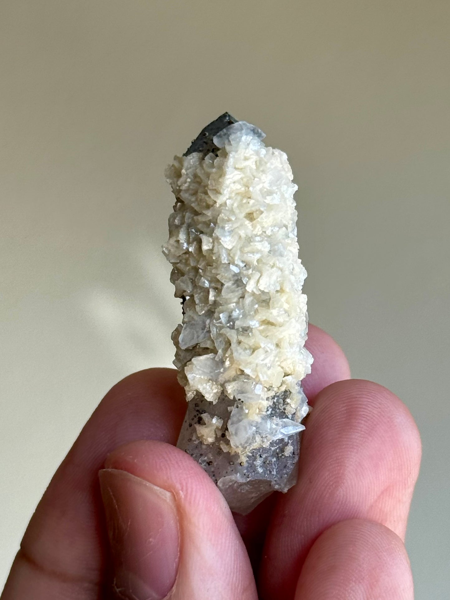 Quartz, Pyrite, Dolomite & Calcite