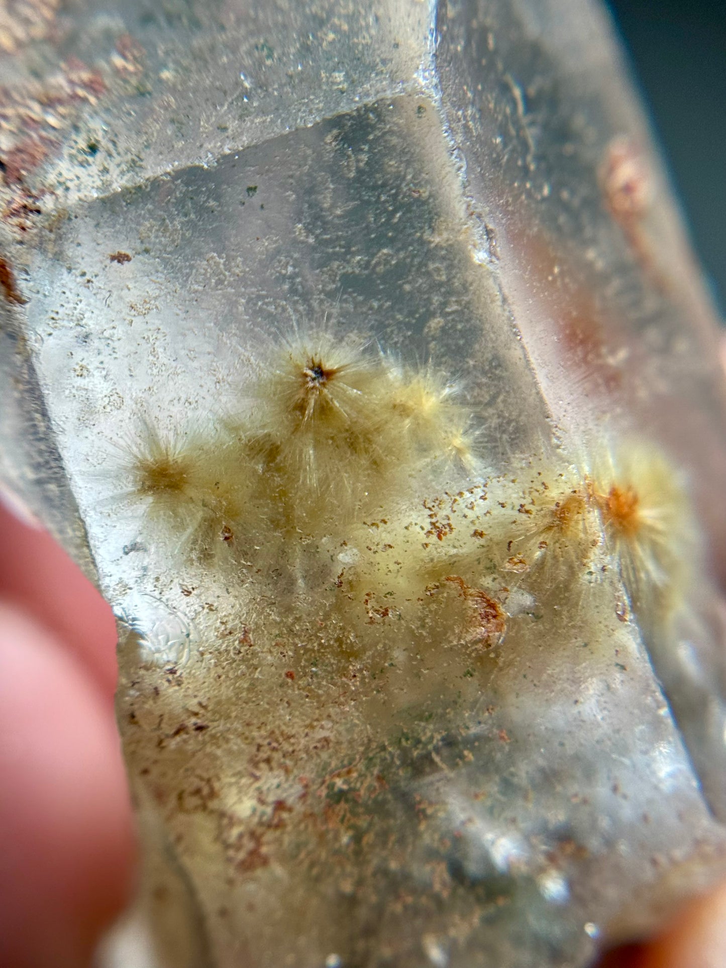 Dandelion Rutile in Quartz