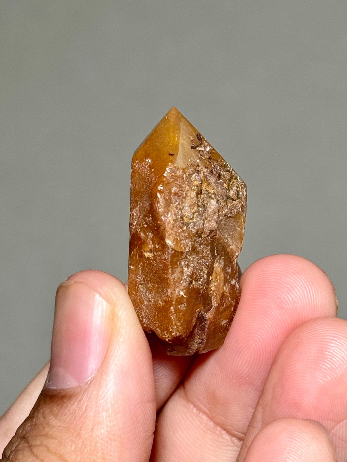 Semi-Polished Himalayan Quartz with Rutile