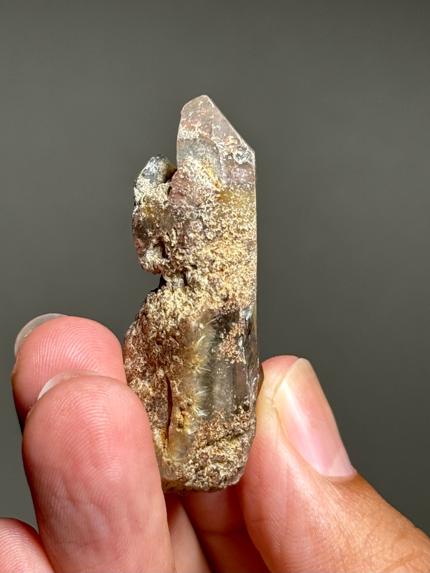 Dandelion Rutile in Quartz