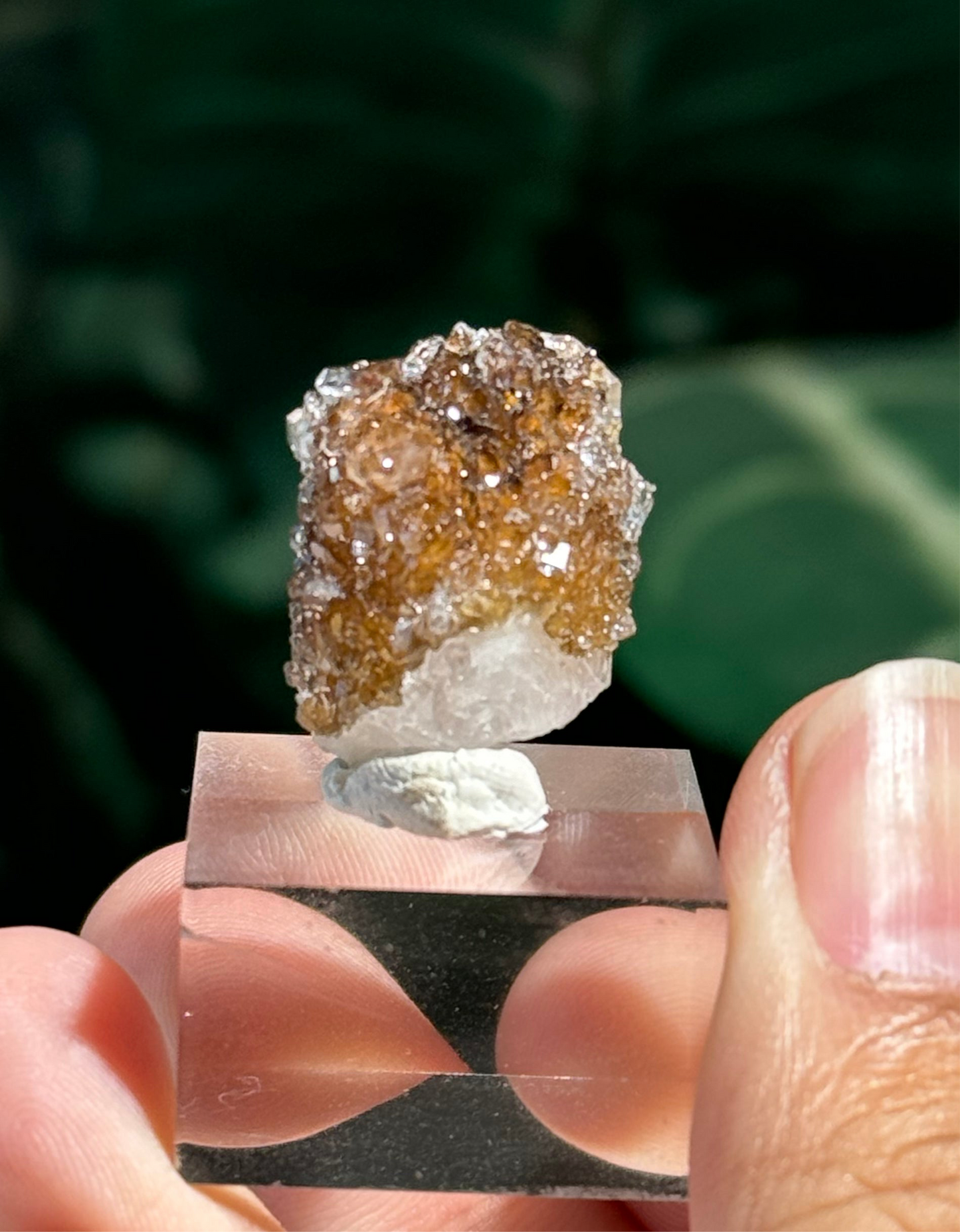 Danburite with Quartz