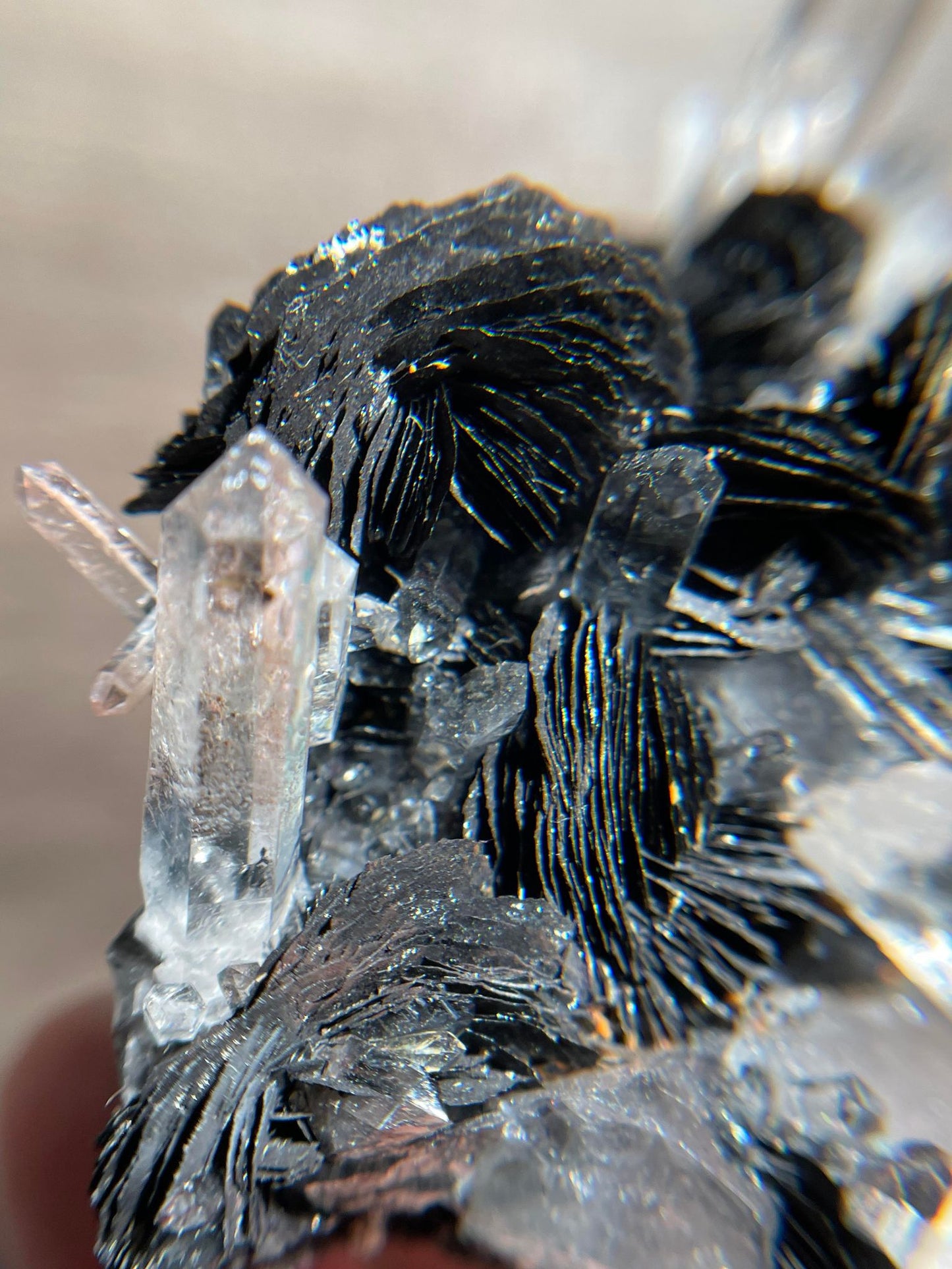 Hematite with Quartz