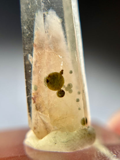 Cookite & Tremolite in Quartz