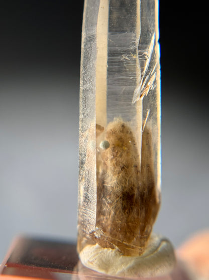 Cookite & Tremolite in Quartz