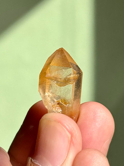 Semi-Polished Himalayan Quartz with Rutile
