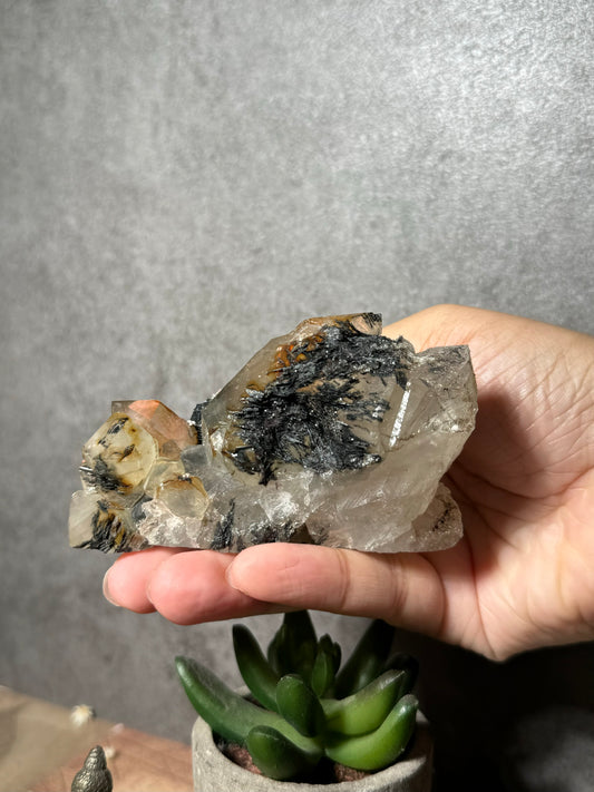 Golden Healer Quartz with Hematite (Old Stock)