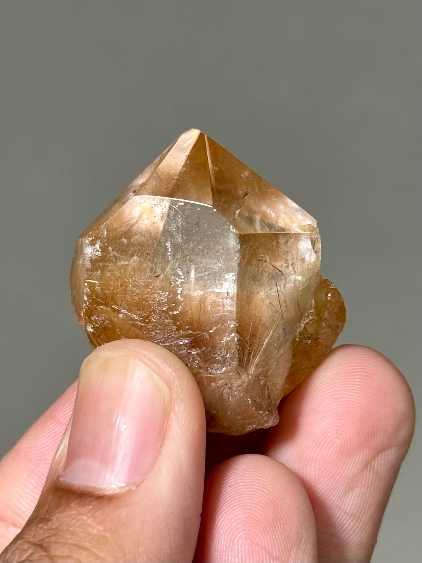Semi-Polished Himalayan Quartz with Rutile