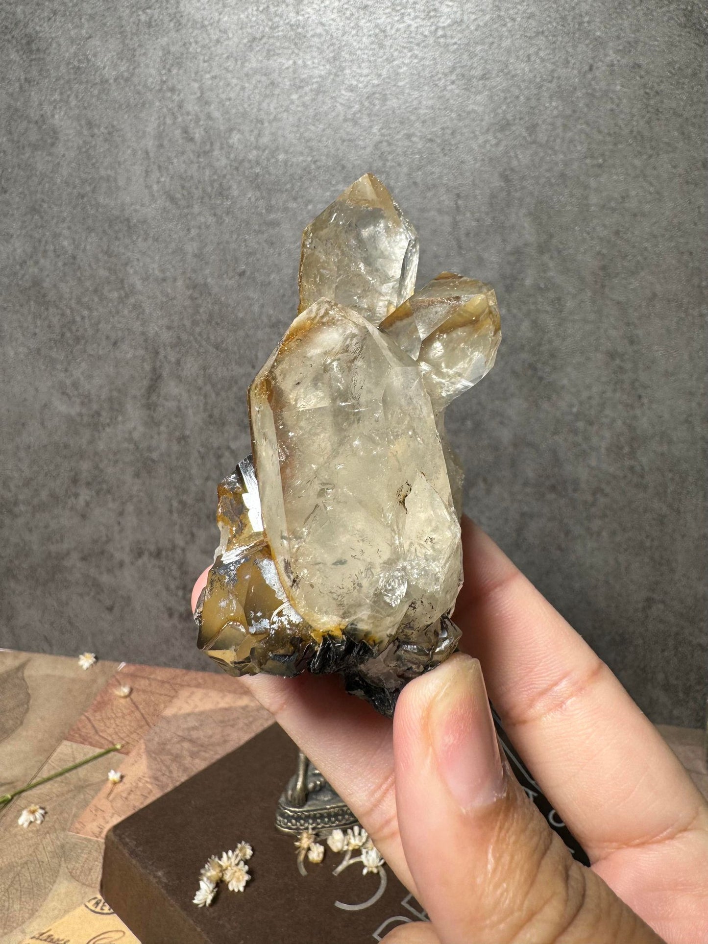 Golden Healer Quartz with Hematite (Old Stock)