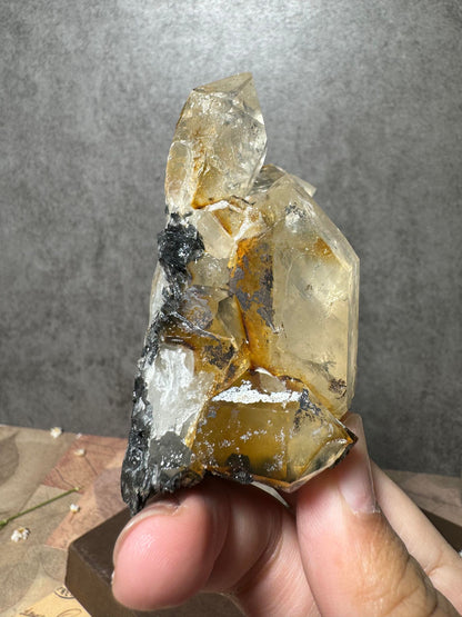 Golden Healer Quartz with Hematite (Old Stock)