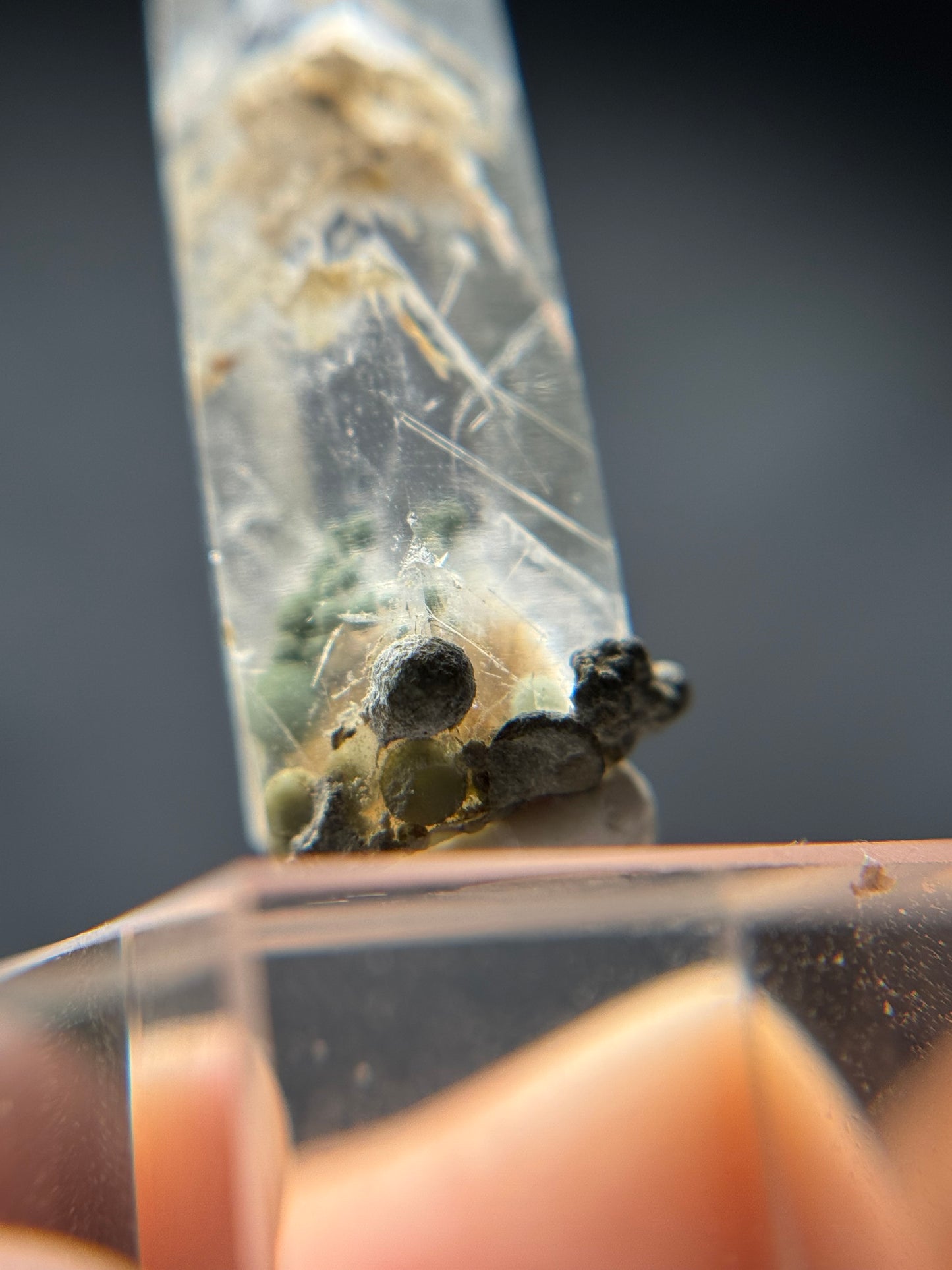 Cookite & Tremolite in Quartz