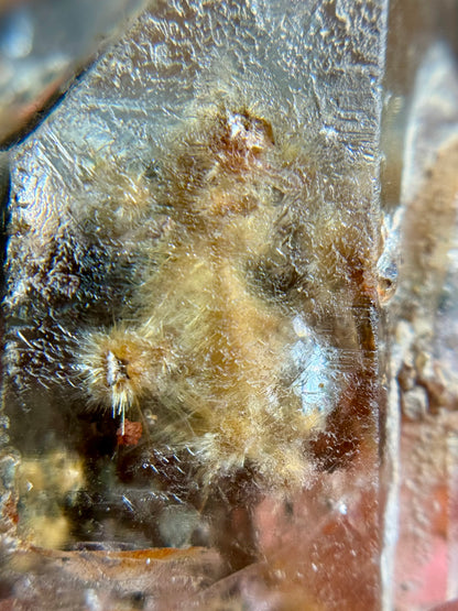 Dandelion Rutile in Quartz