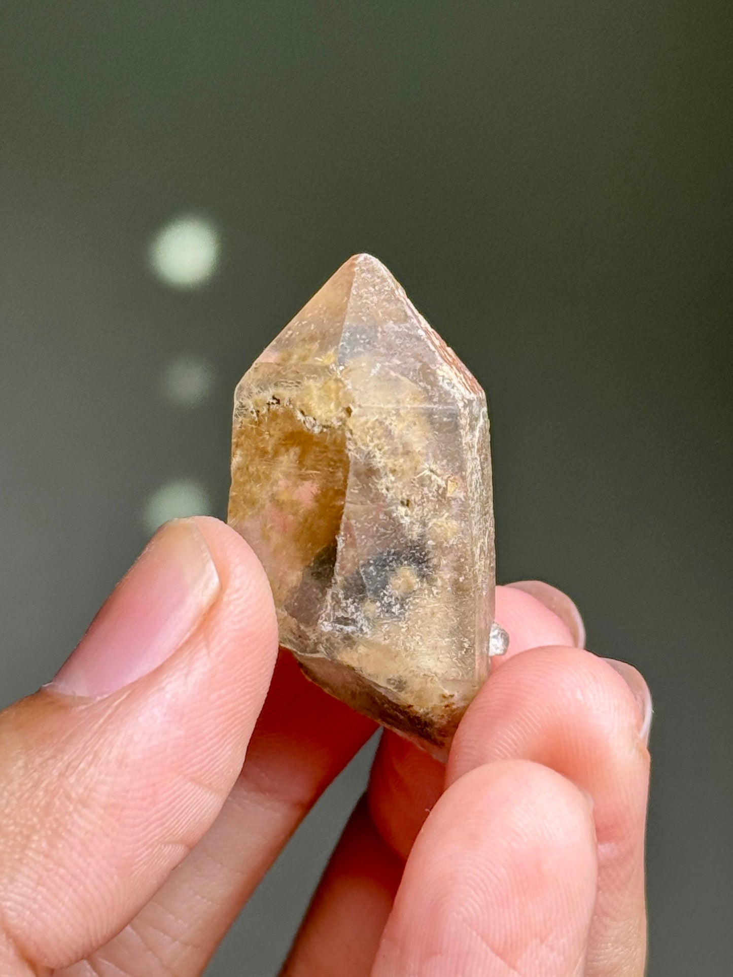 Dandelion Rutile in Quartz