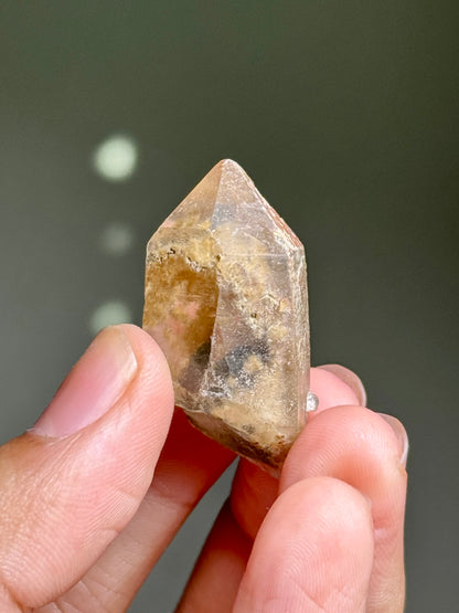Dandelion Rutile in Quartz