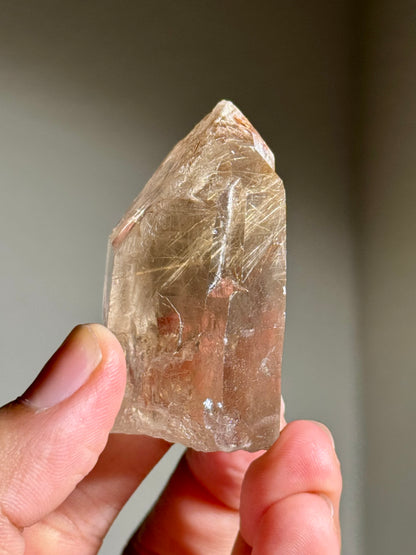 Smoky Quartz with Rutile