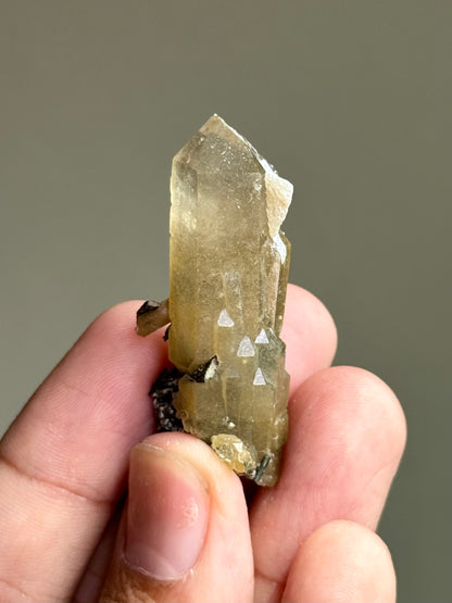Quartz & Hedenbergite