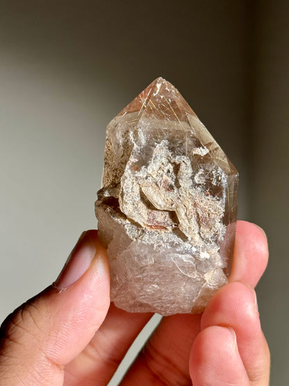 Smoky Quartz with Rutile