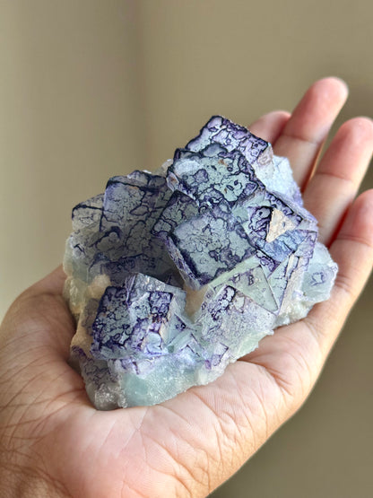 QR Code Fluorite
