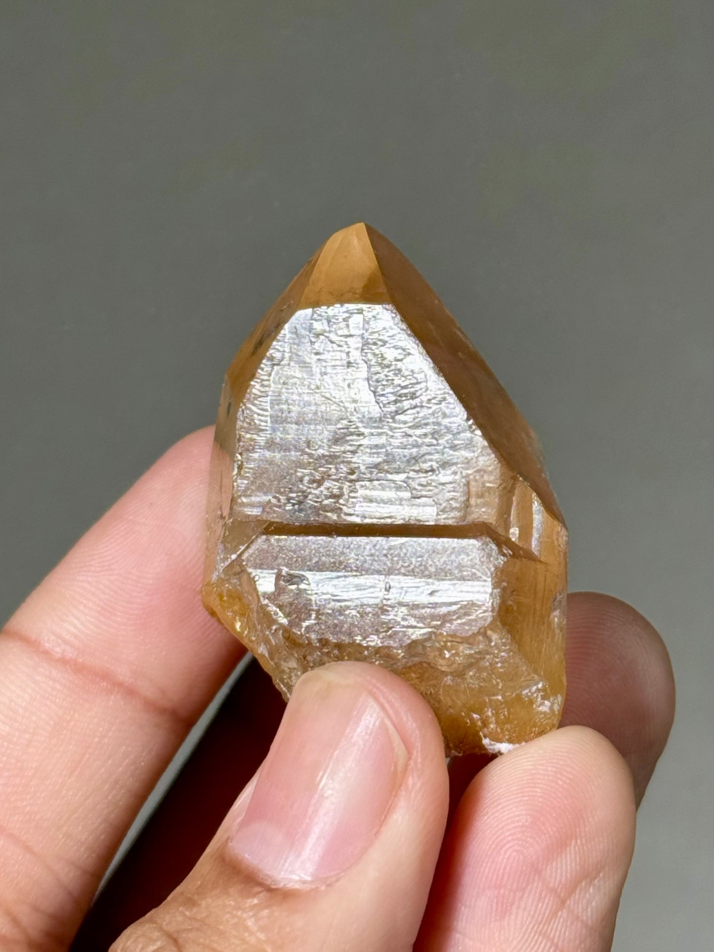 Semi-Polished Himalayan Quartz with Rutile