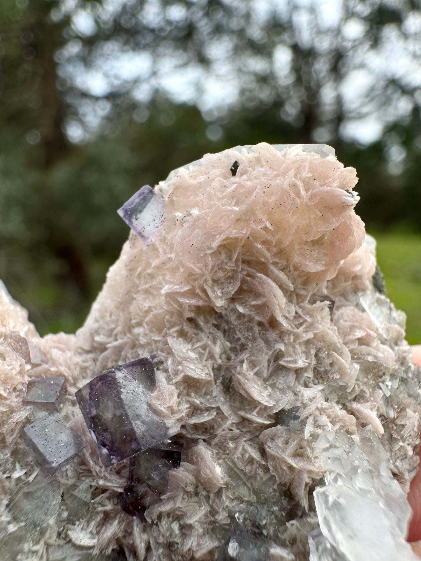Quartz with Rhodochrosite & Fluorite