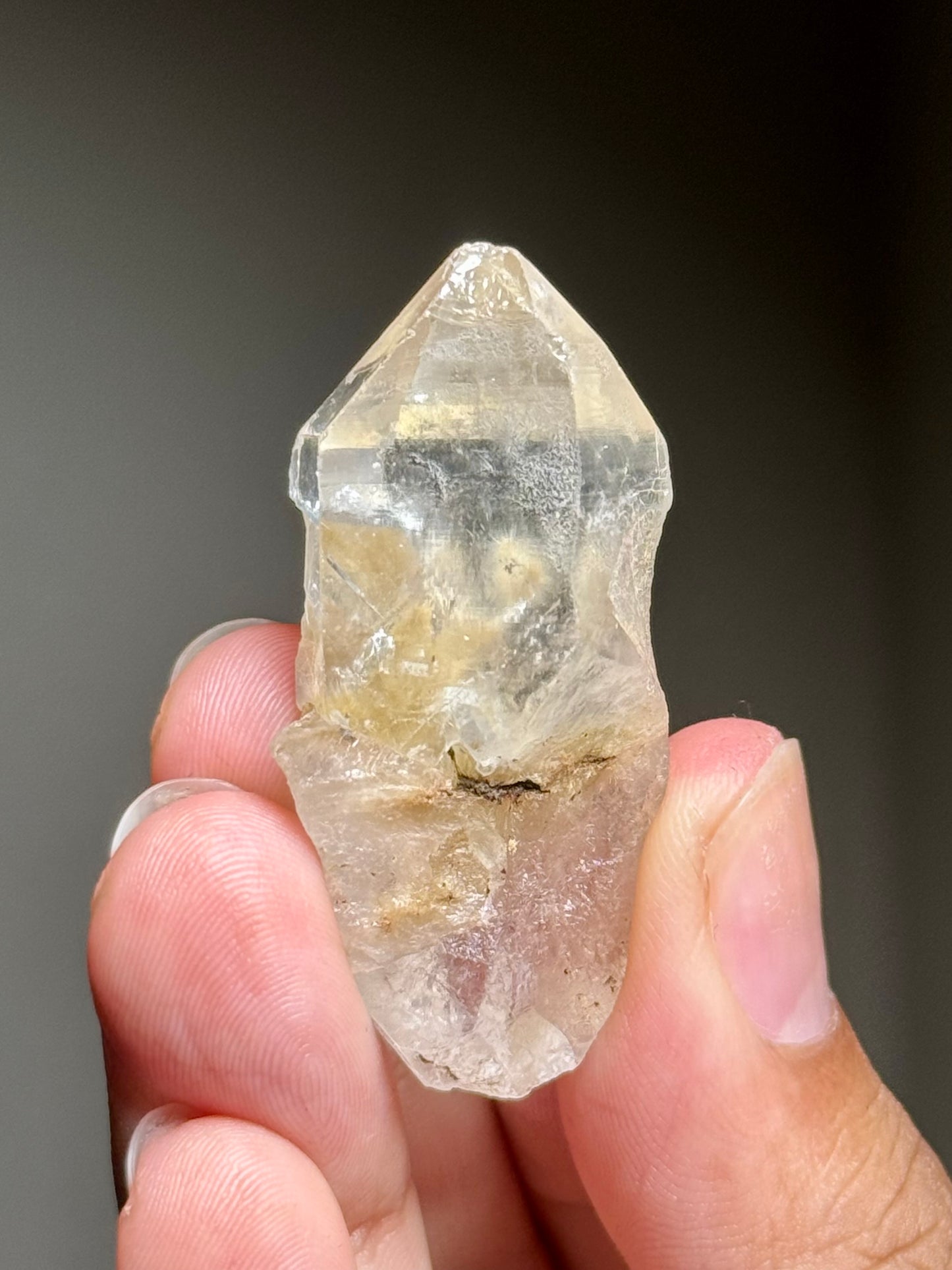 Dandelion Rutile in Quartz