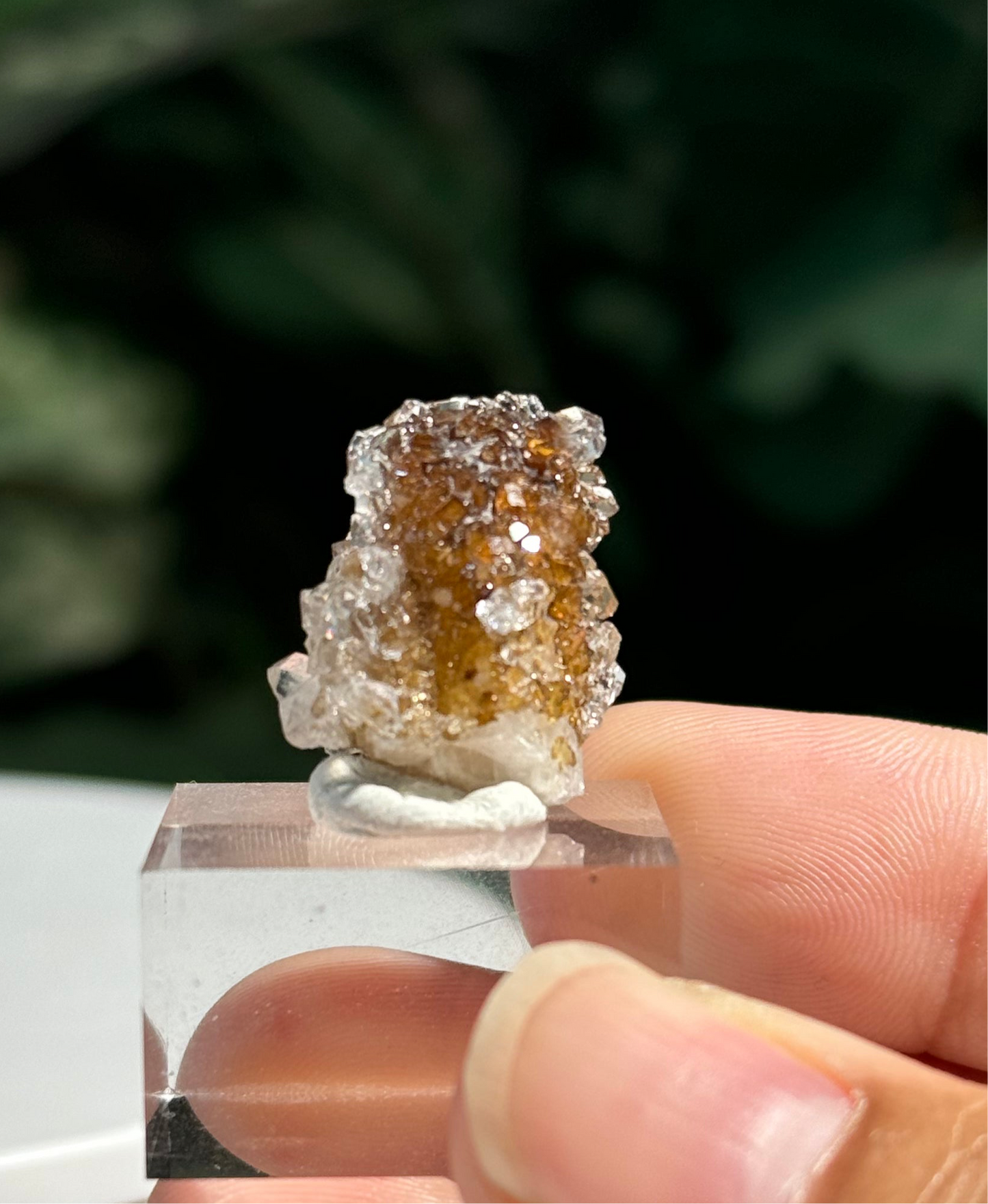 Danburite with Quartz