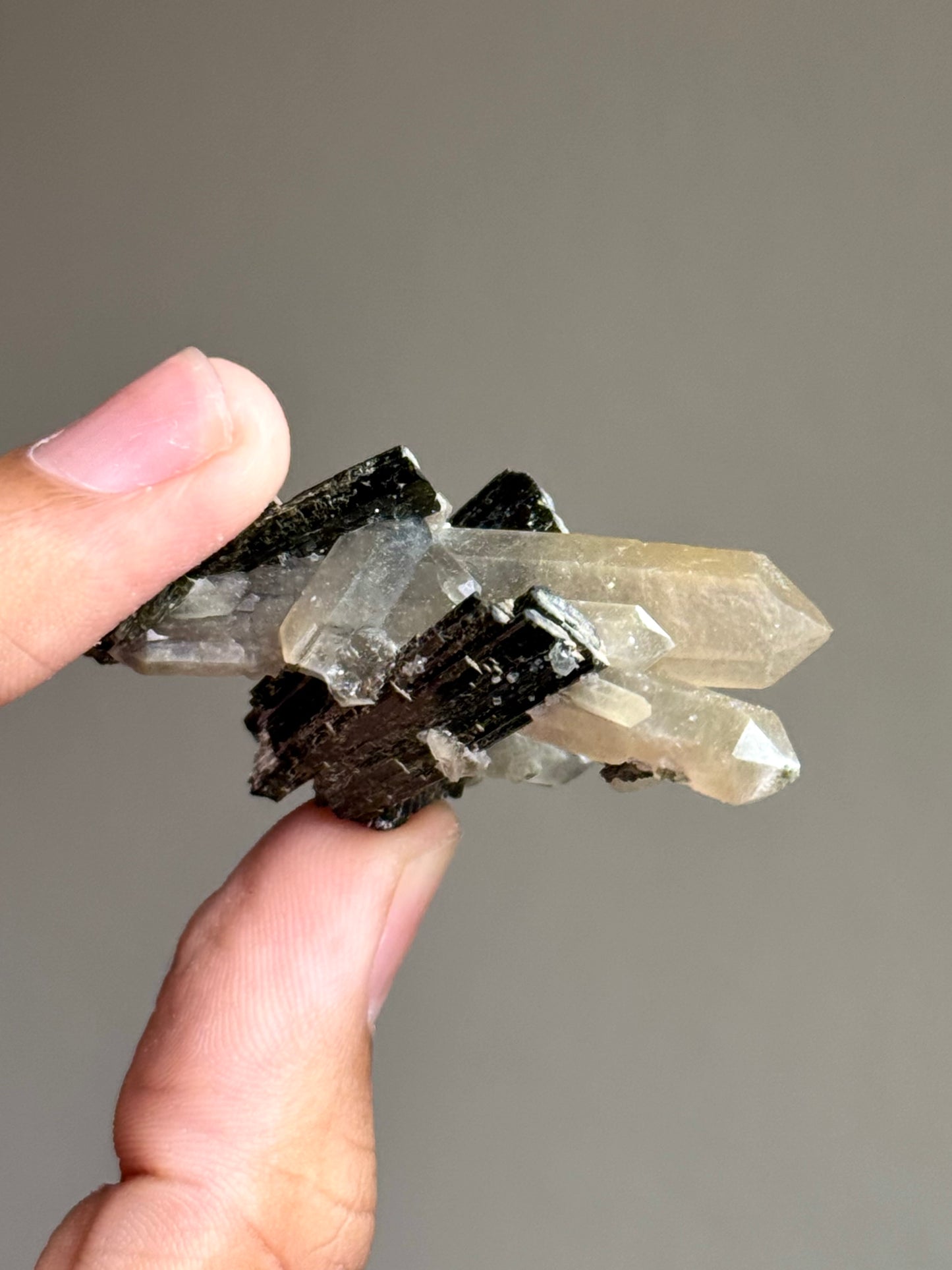 Hedenbergite & Quartz