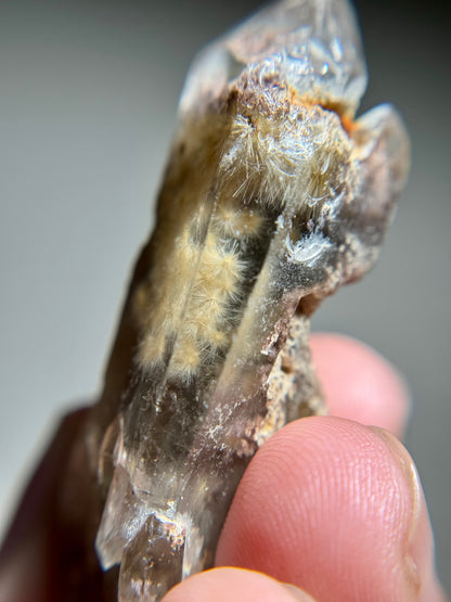 Dandelion Rutile in Quartz