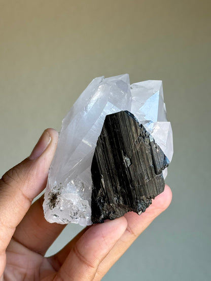 Quartz & Ferberite