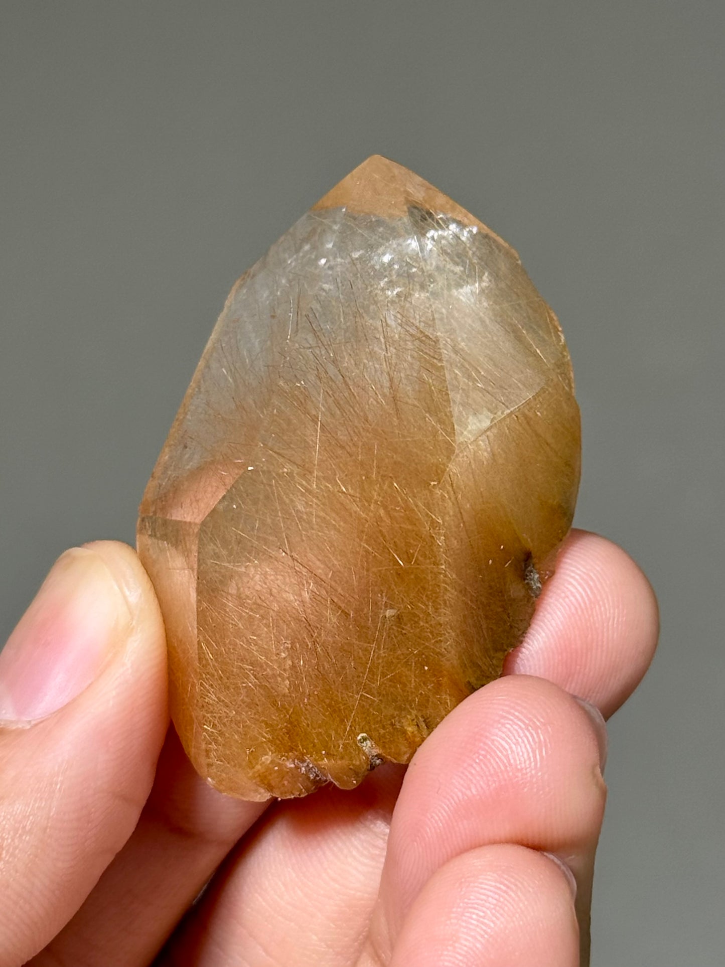 Semi-Polished Himalayan Quartz with Rutile
