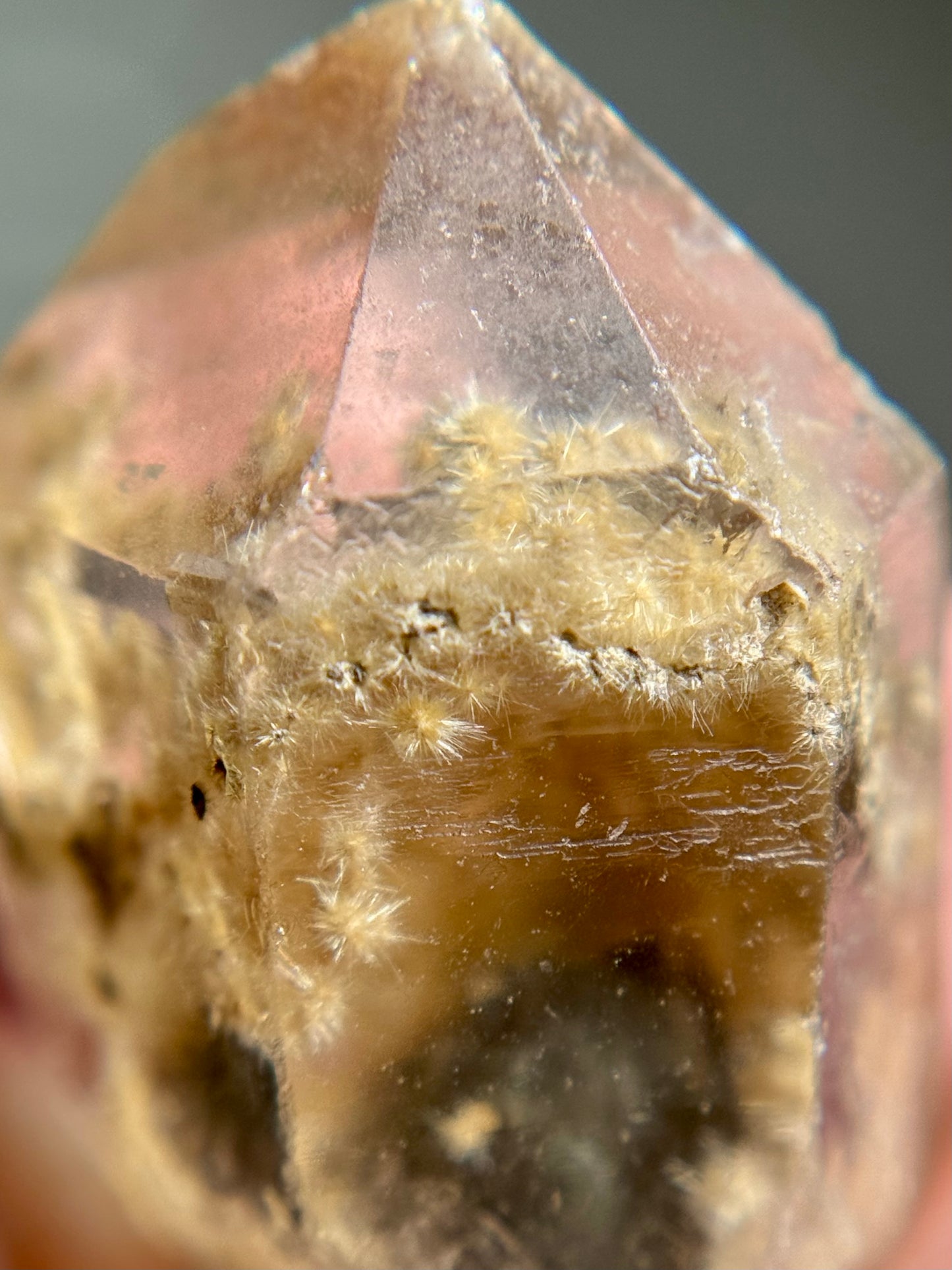 Dandelion Rutile in Quartz