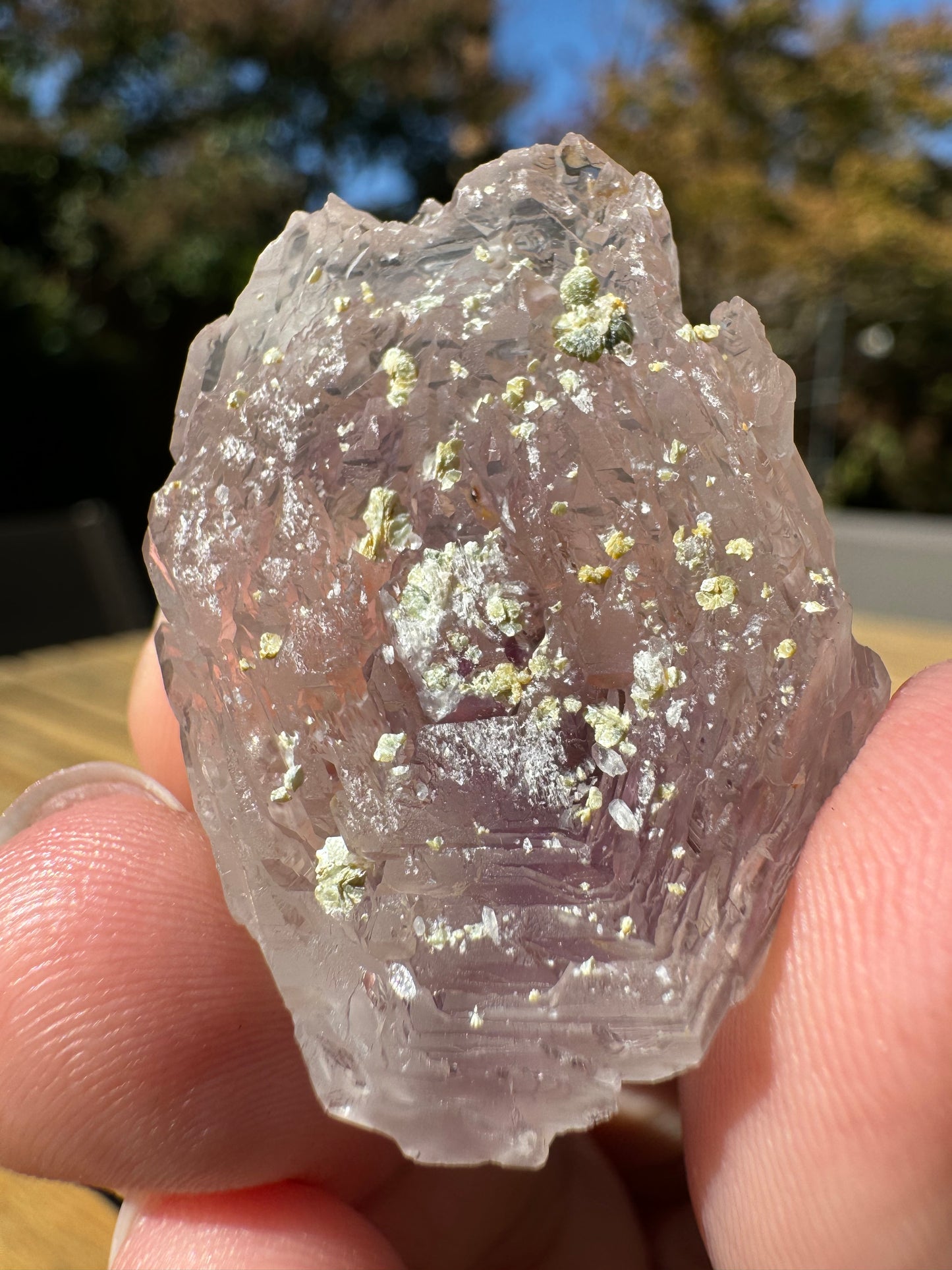 Little Gem Mine Amethyst