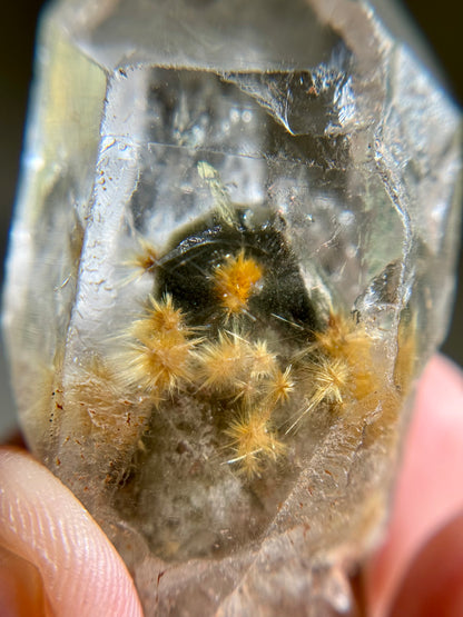 Dandelion Rutile in Quartz