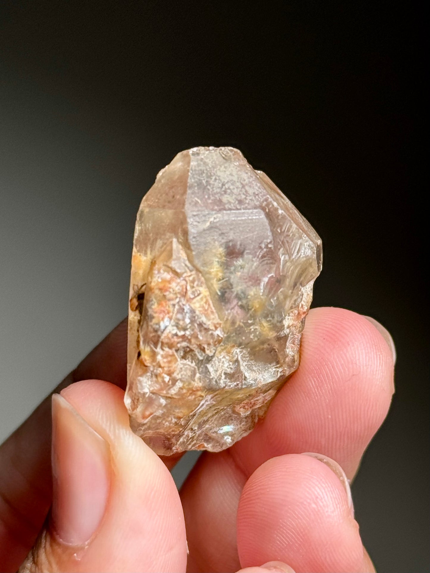 Dandelion Rutile in Quartz