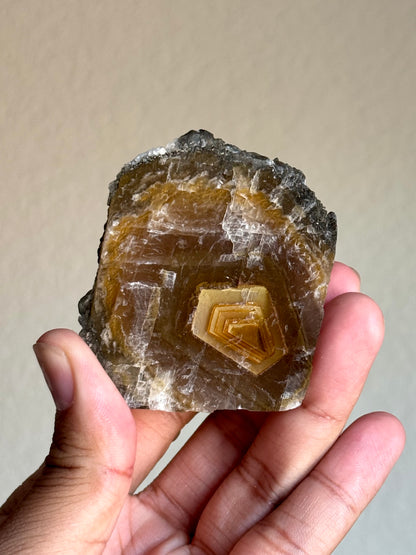 Calcite & Pyrite