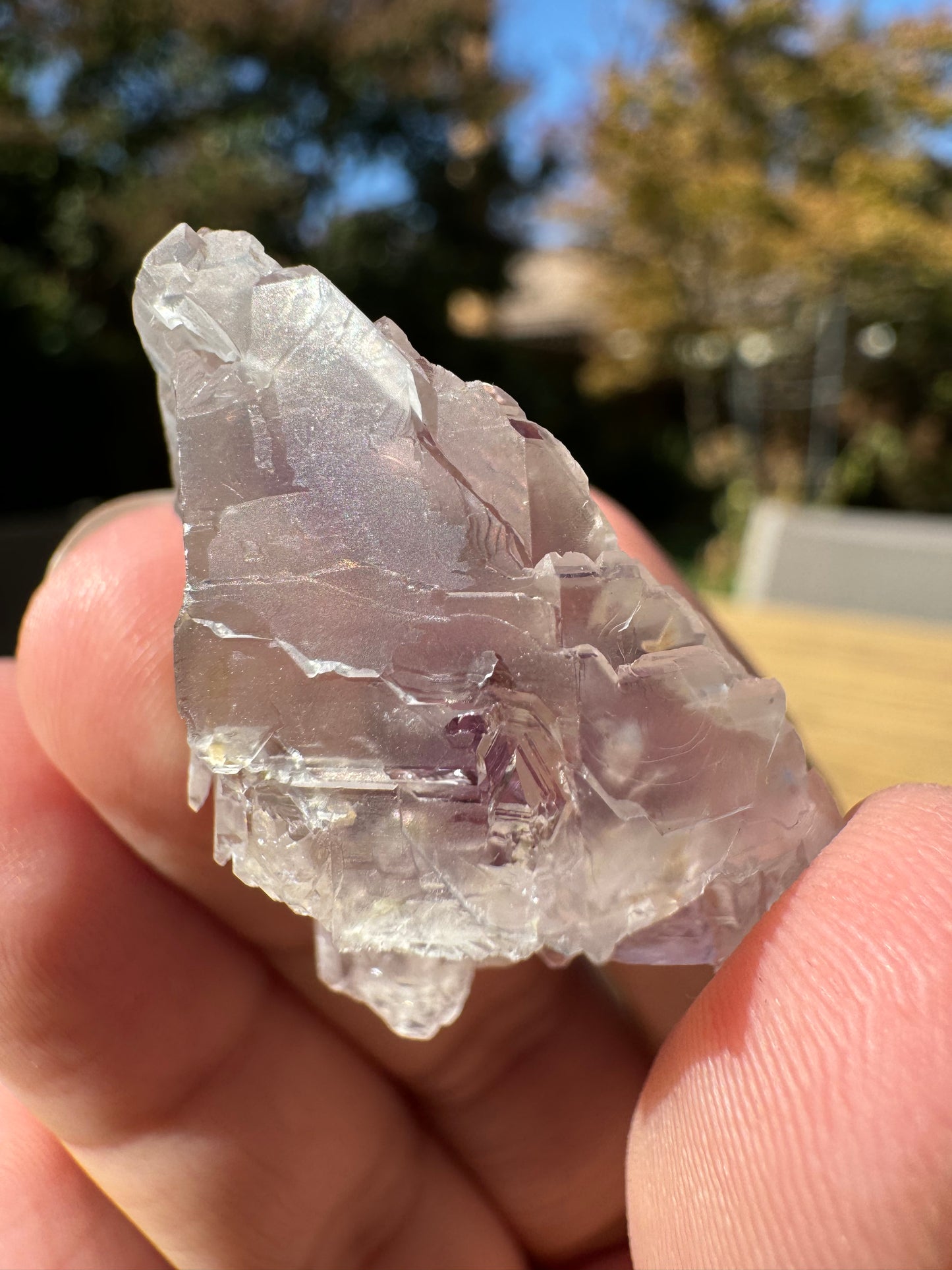 Little Gem Mine Amethyst