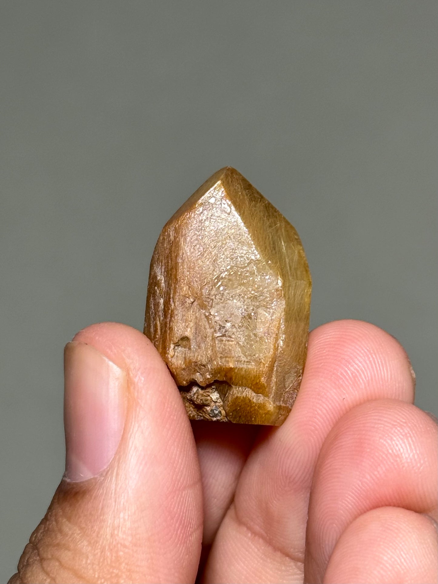 Semi-Polished Himalayan Quartz with Rutile