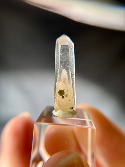 Cookite & Tremolite in Quartz