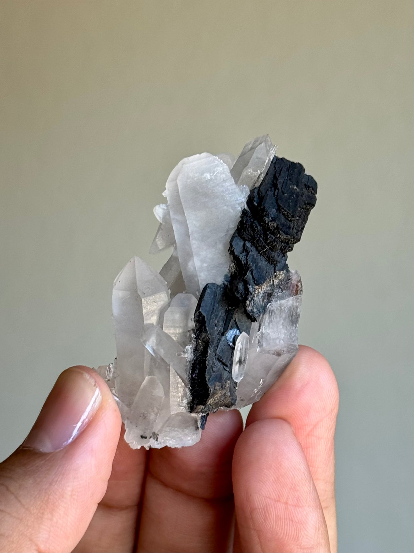 Quartz & Ferberite
