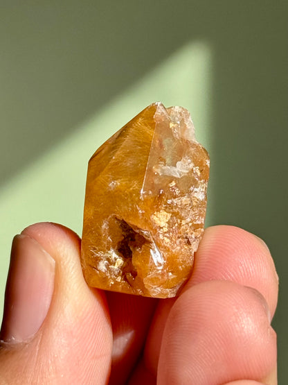 Semi-Polished Himalayan Quartz with Rutile