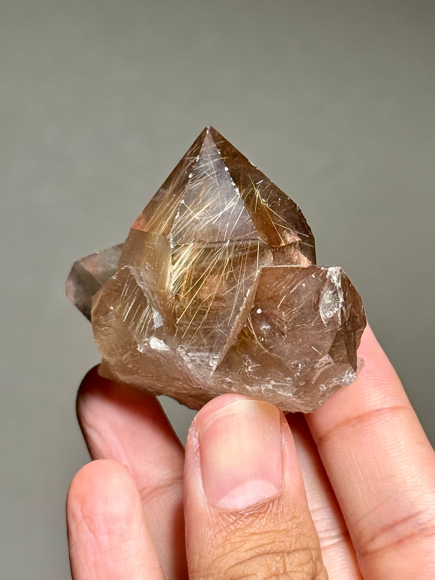 Rutile in Smoky Quartz