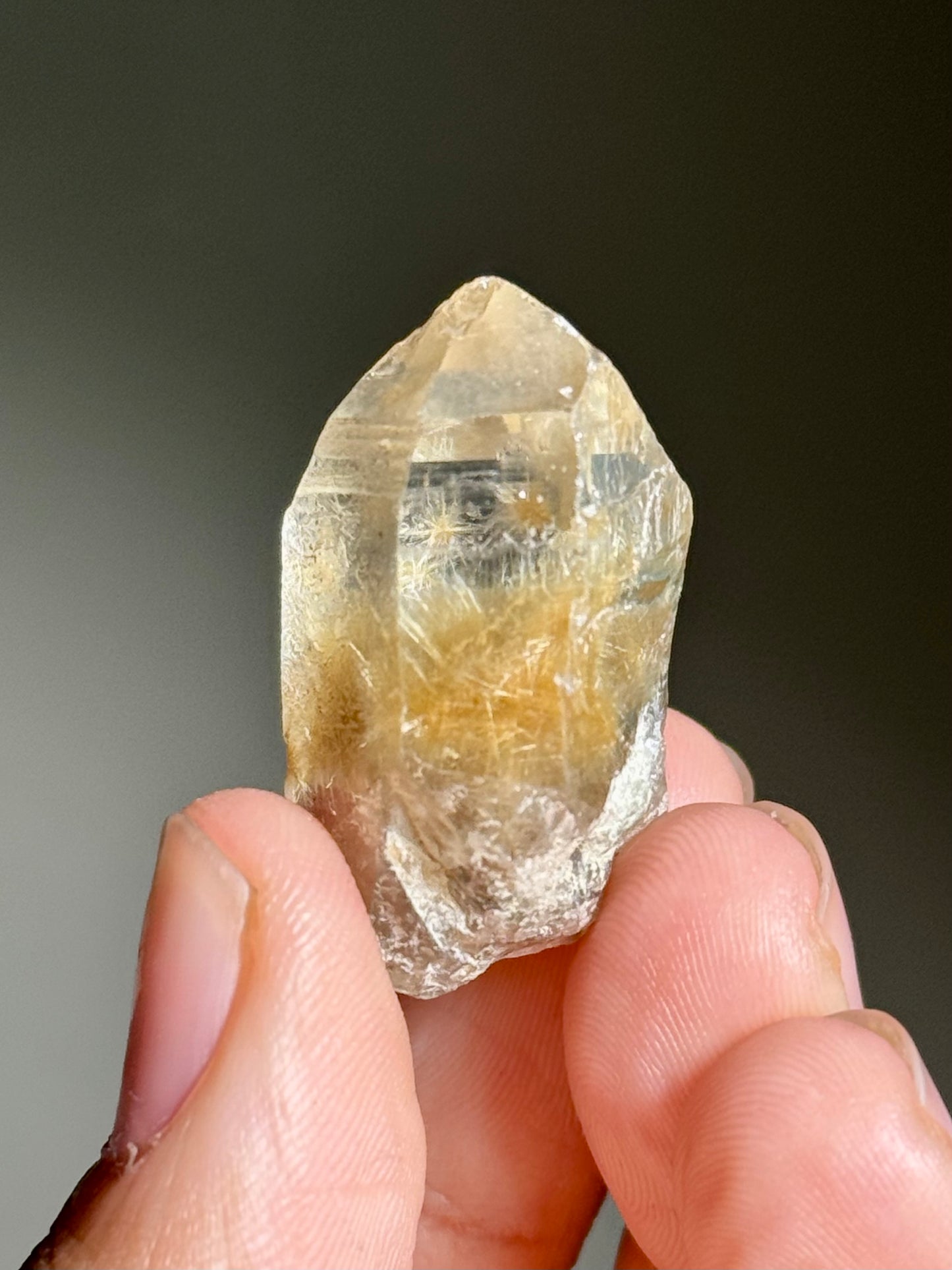 Dandelion Rutile in Quartz